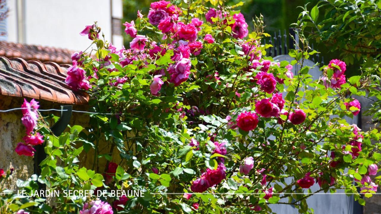 Le Jardin Secret De Beaune Beaune  Extérieur photo